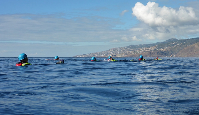 Coasteering Group