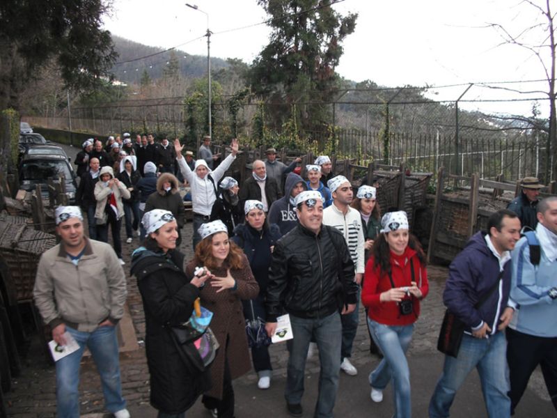 funchal-by-bus-04